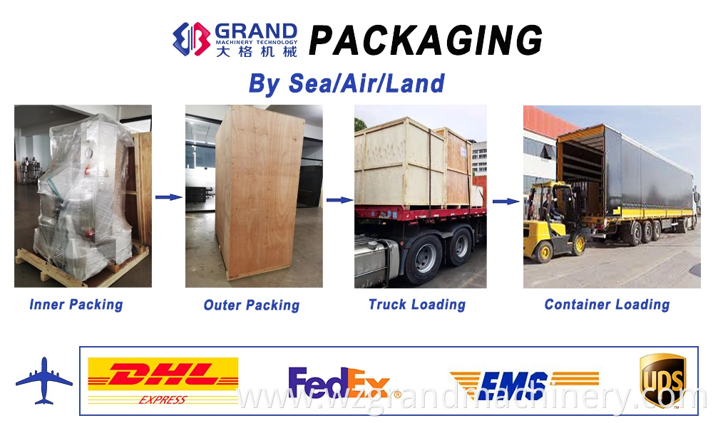 Ggs-118 P5 Orial Liquid/Perfume/Air Refresher/Pesticide Plastic Ampoule Filling Packing Machine with Labeling Equipment